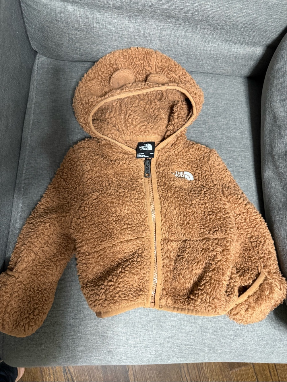 The North Face Kids' Teddy Fleece Hoodie in Brown